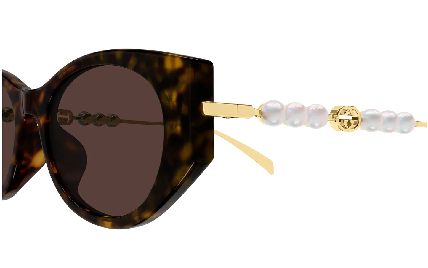 GUCCİ GG1970SA 003