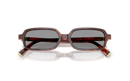 Miu Miu MU  11ZS 21C40O 51